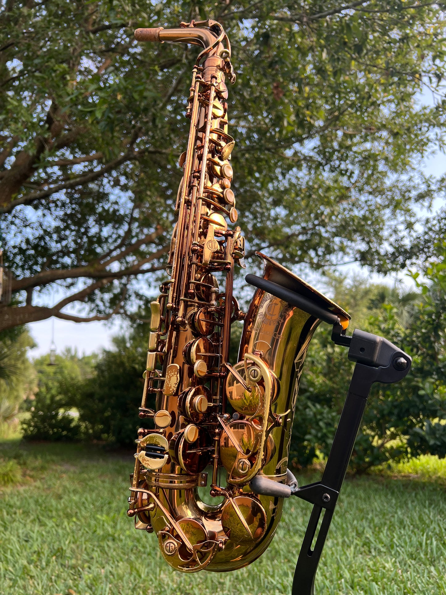 Cannonball Vintage Reborn Alto Saxophone Limited Edition 112/500