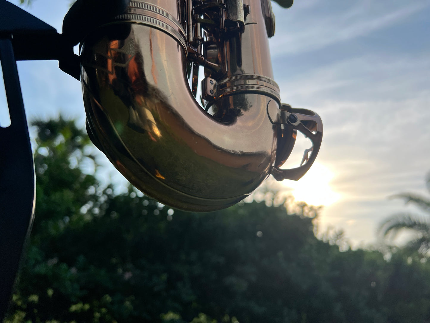 Cannonball Vintage Reborn Alto Saxophone Limited Edition 112/500