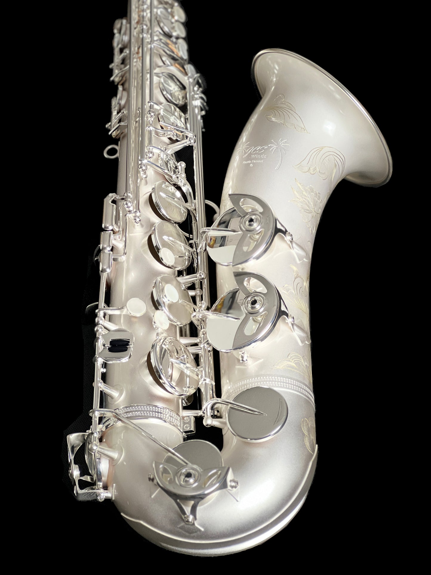 JCS Winds Florida Nascent Tenor Saxophone