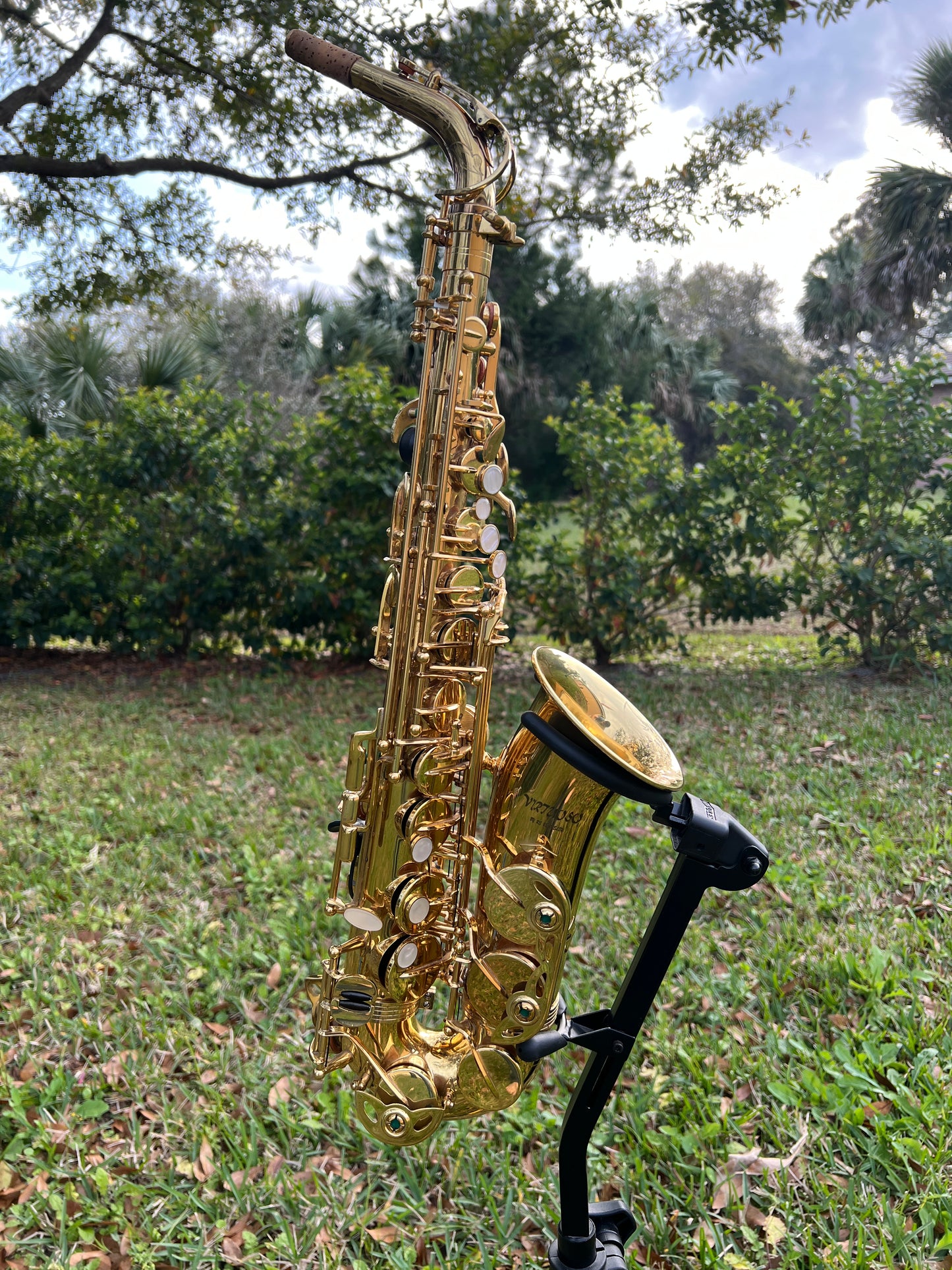RS Berkeley Virtuoso Professional Alto Saxophone - Gold Lacquer