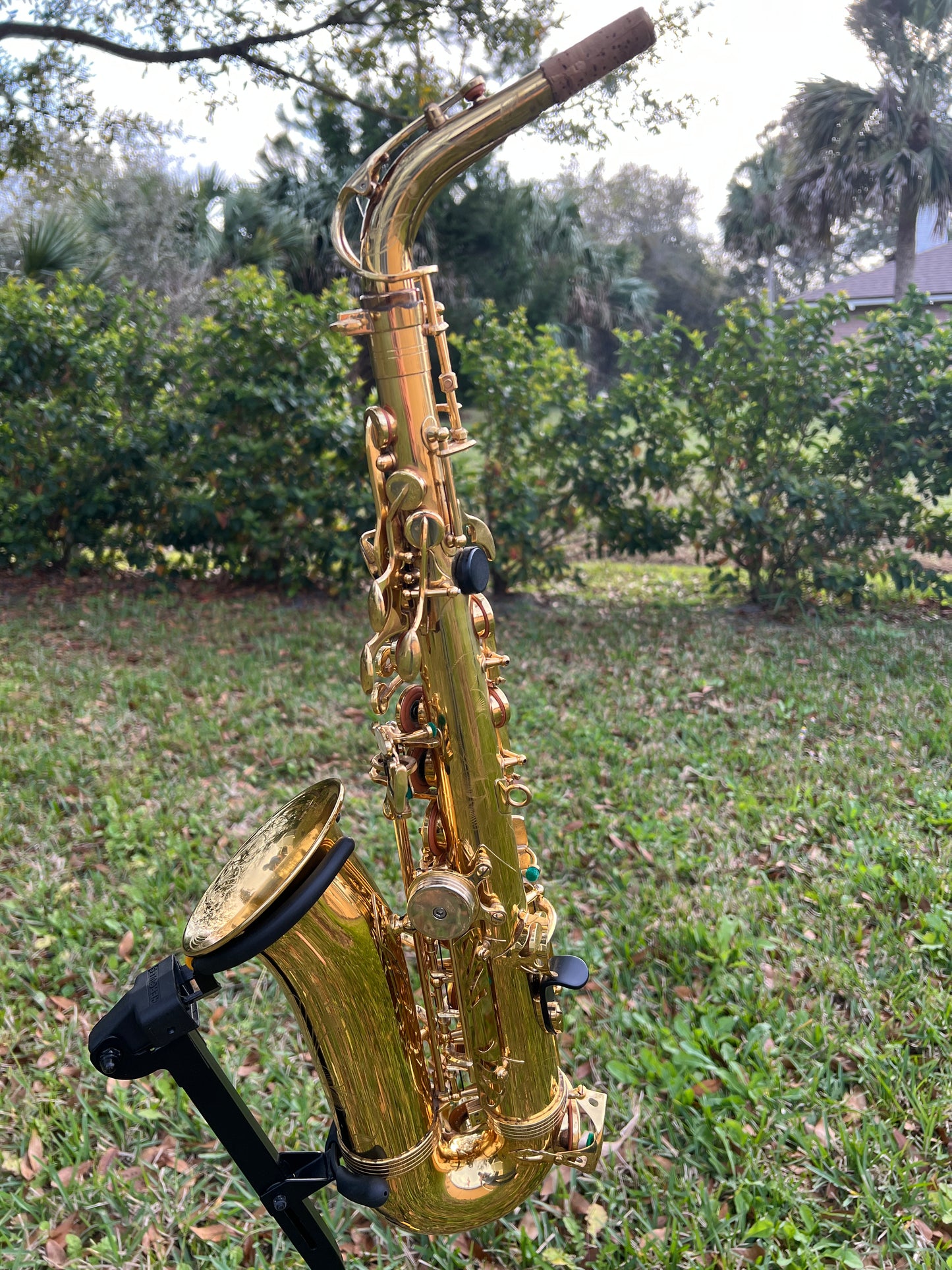 RS Berkeley Virtuoso Professional Alto Saxophone - Gold Lacquer