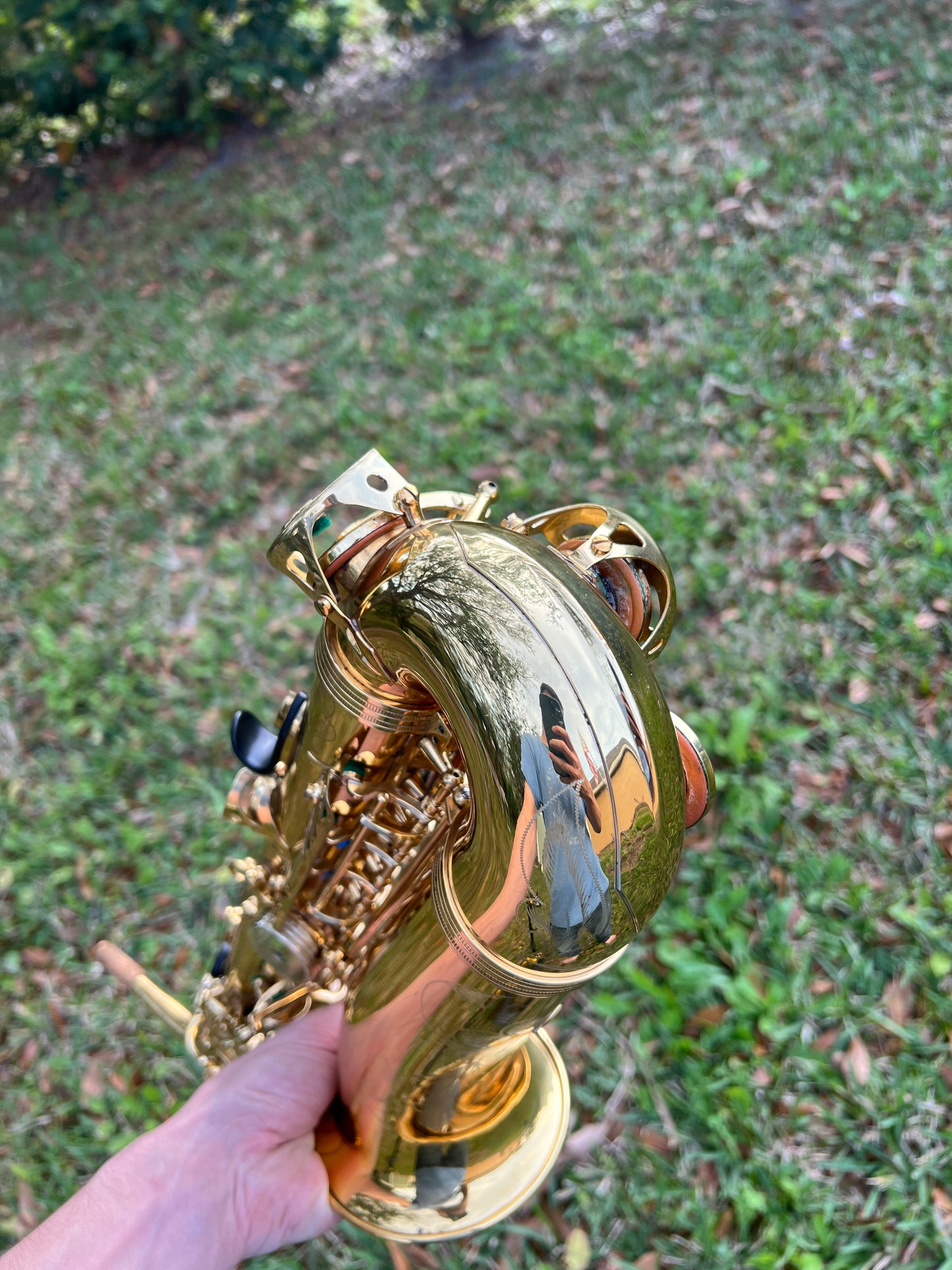 RS Berkeley Virtuoso Professional Alto Saxophone - Gold Lacquer